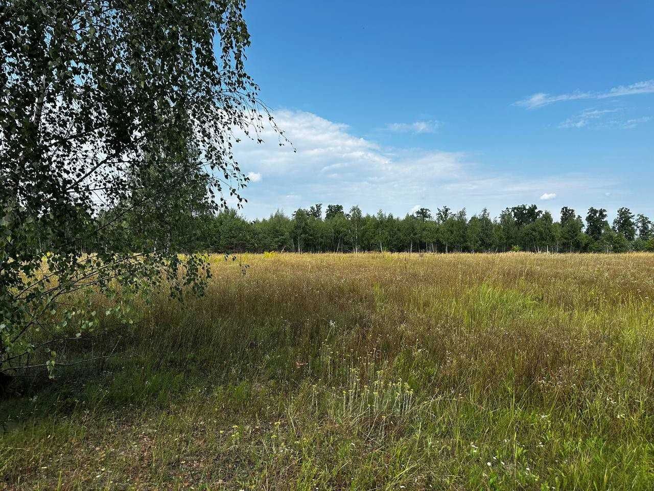 Продаж ділянки 201 сотка (ОСГ). Біля лісу. Озеро - 1км. ID:735