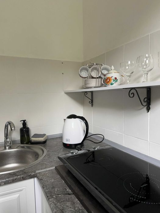 Будиночок у сосновому лісі біля Києва з мангалом і альтанкою