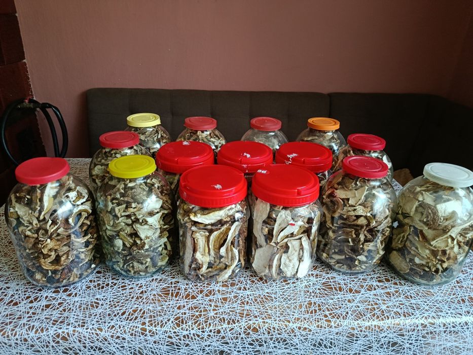 Гриби білі, читайте опис