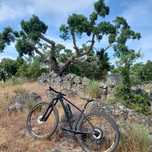 Merida BigNine 7000