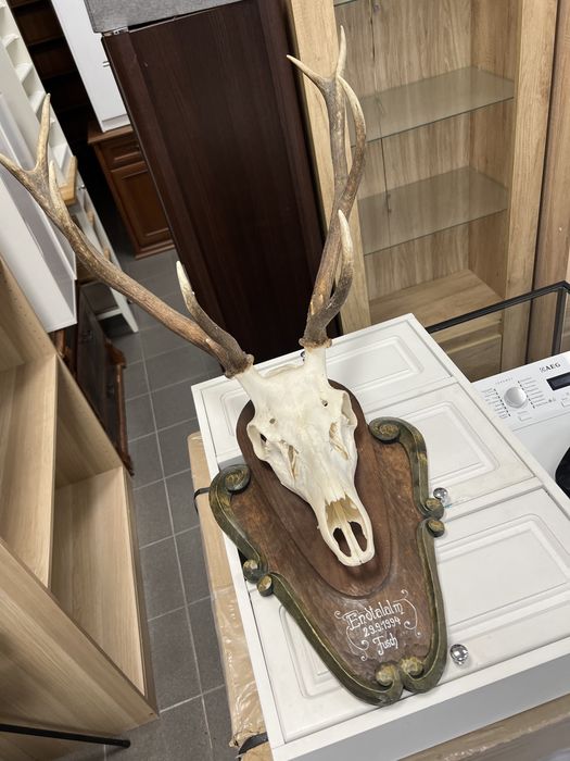 Poroże - możliwy transport