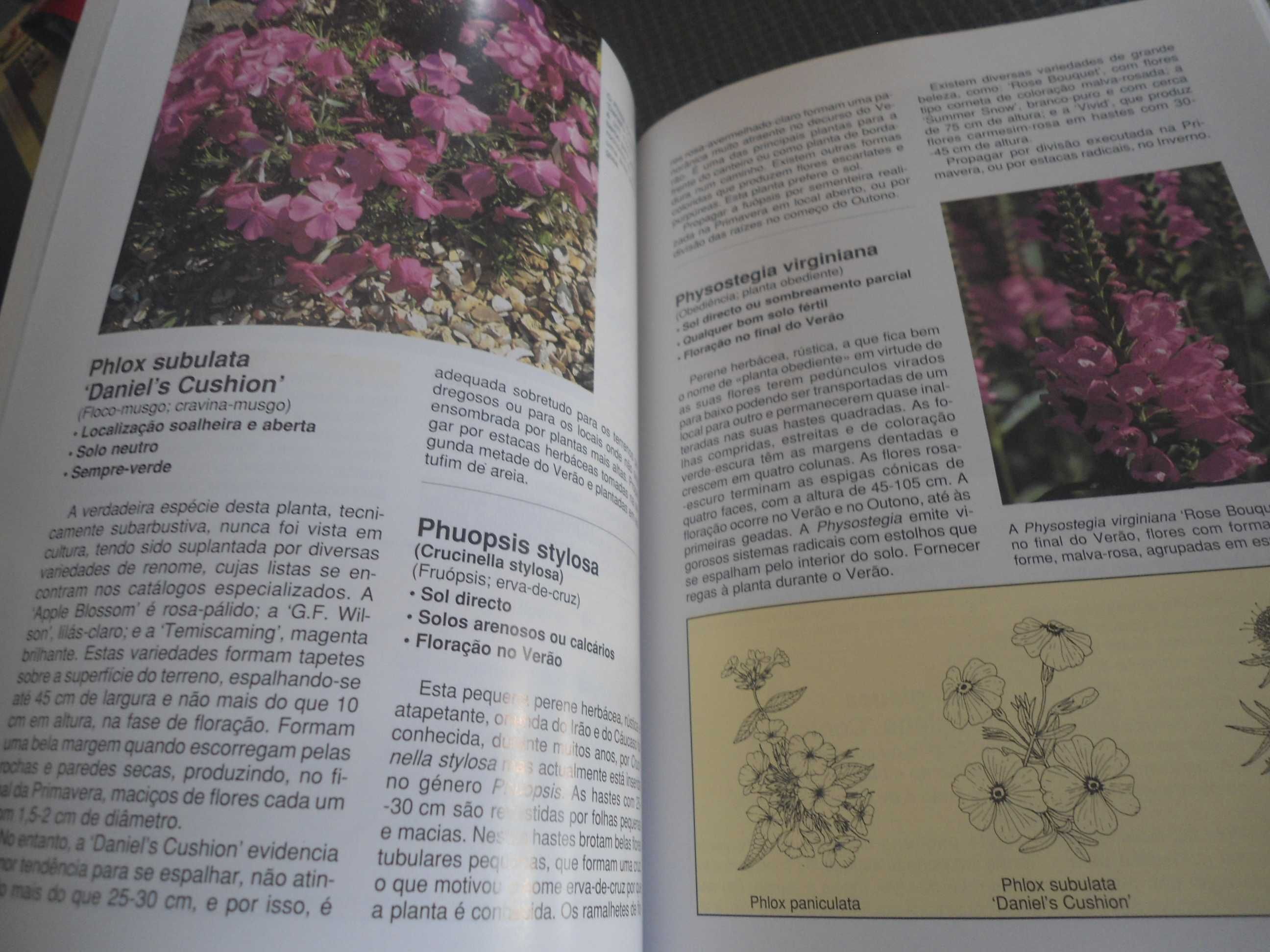 Plantas de Jardim por David Squire (2 volumes)