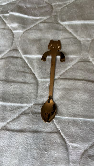 Ложка, Ложечка - котик