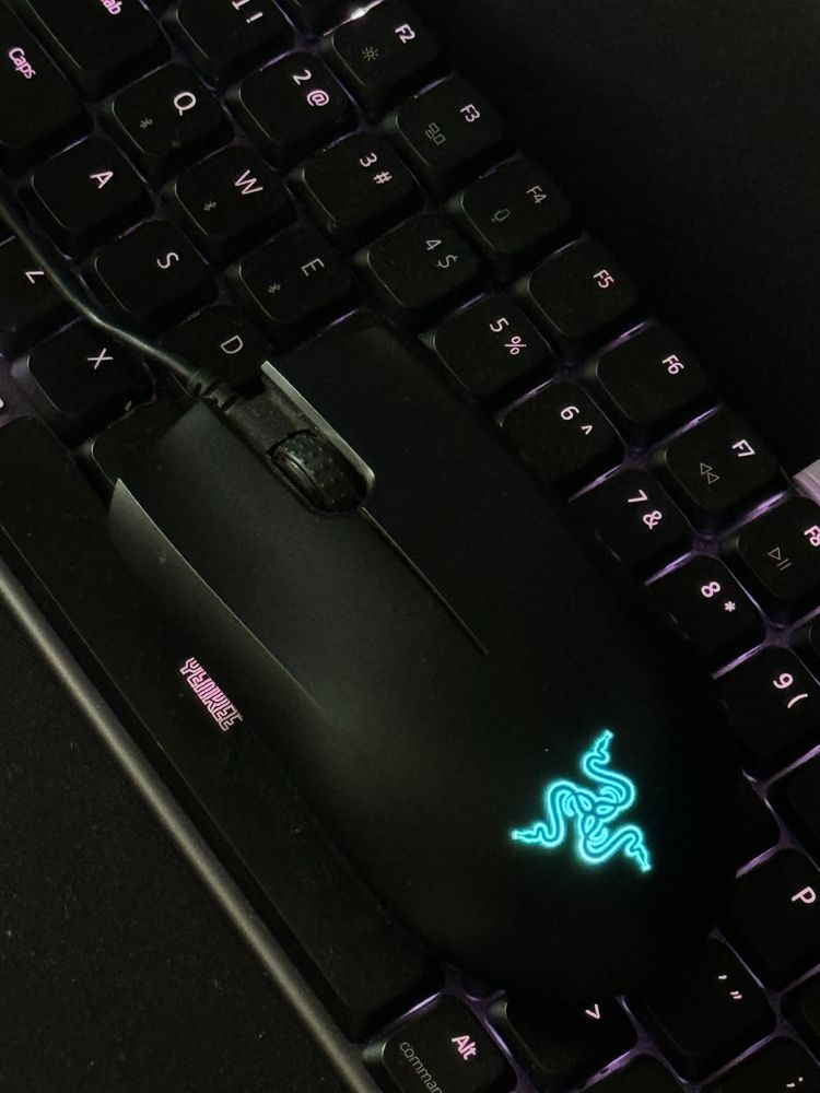 Компютерна Мишка ігрова Razer Abyssus Lite