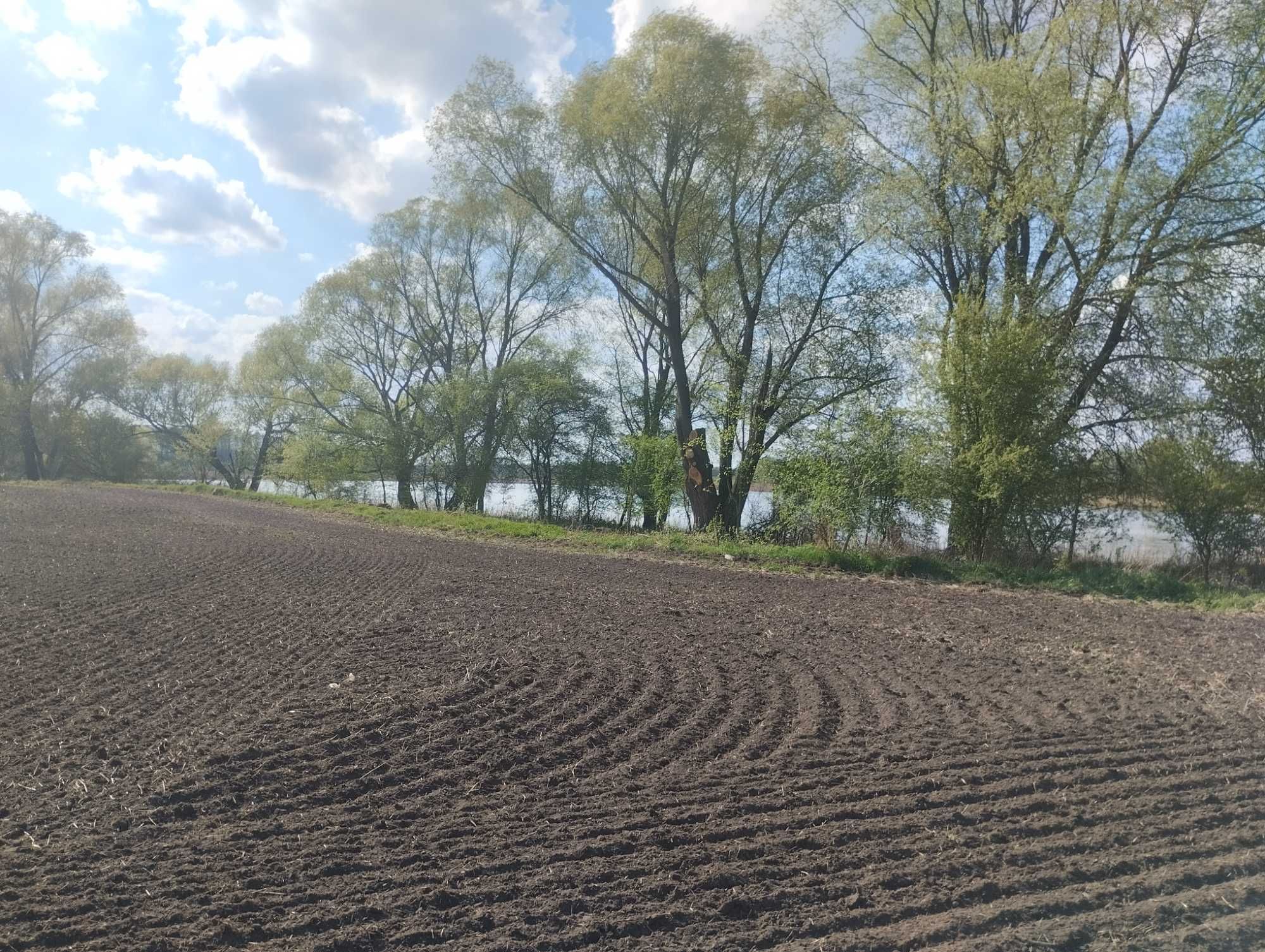 Działka z bezpośrednim dostępem do linii brzegowej jeziora Żernickiego