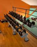 Panatta Halteres