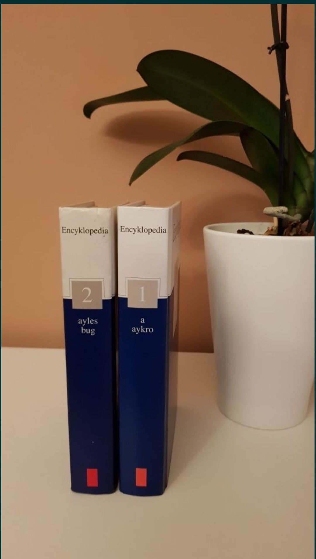 Encyklopedia Gazety Wyborczej Tom I i II