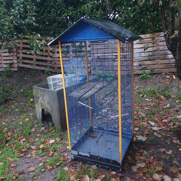 Viveiro para aves em bom estado