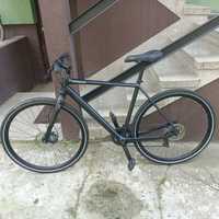 Rower Orbea Carpe