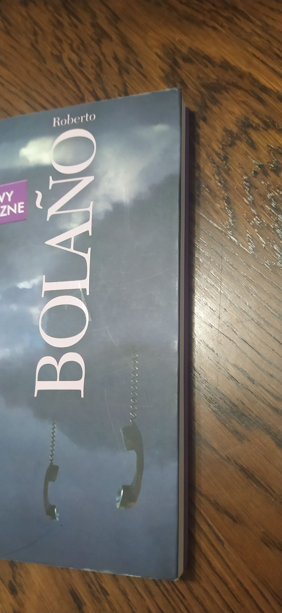Rozmowy Telefoniczne Roberto Bolano