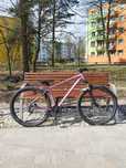 Specialized pitch sport  (dirt)