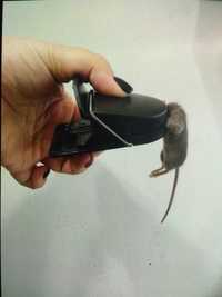 Мышеловки-ловушки для мышей и крыс новые