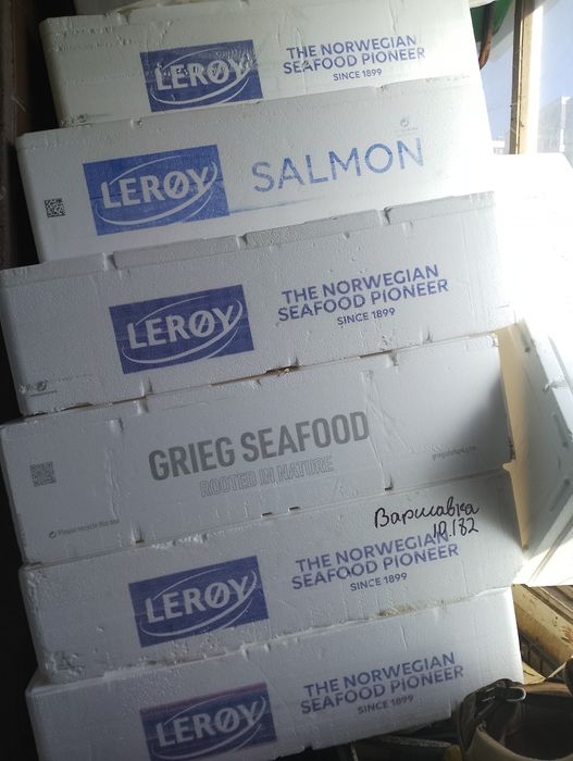 Термо пенопластовые ящики