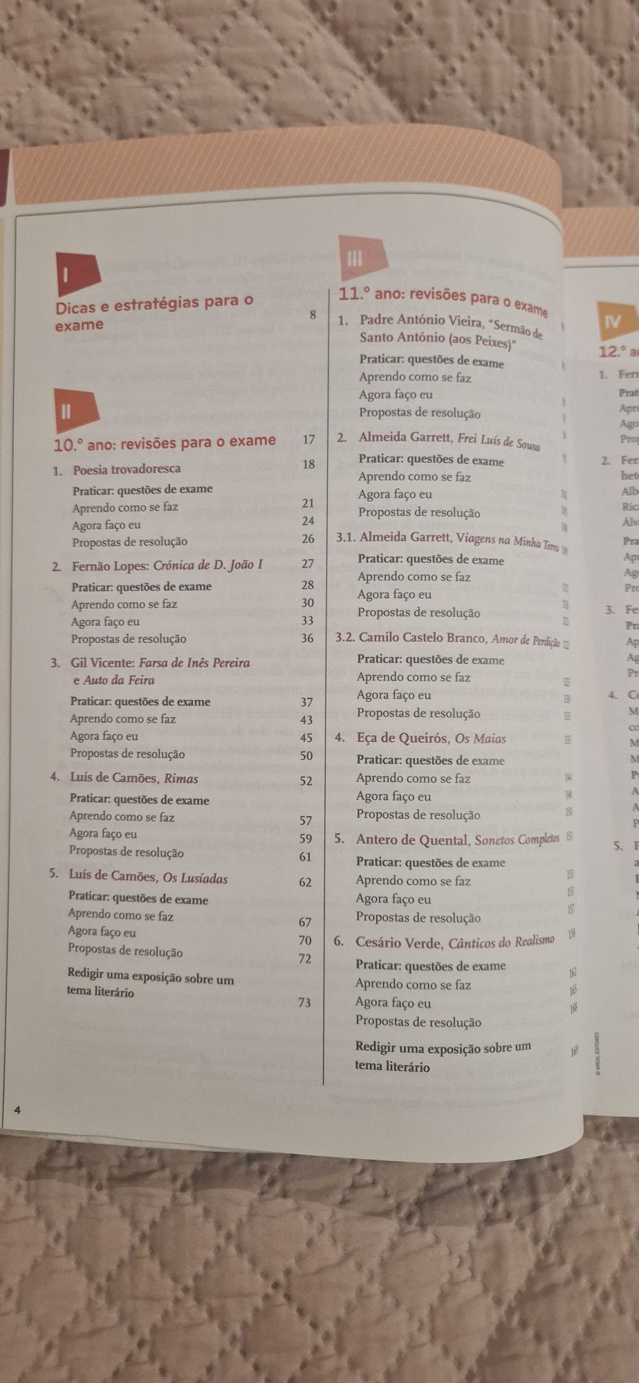Preparar o exame nacional 12,  Português