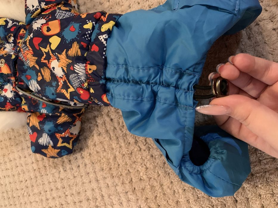 Дощовик, зимовий комбінезон для собак маленької породи