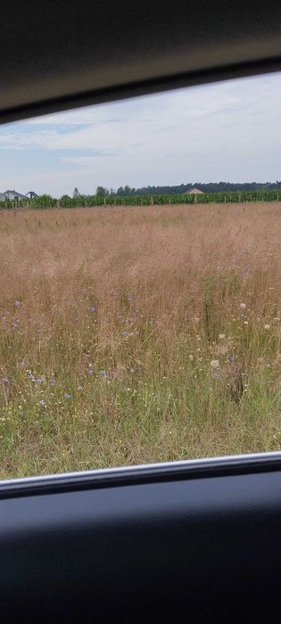Działka budowlana Konarskie  Kórnik 802 M2 REZERWACJA