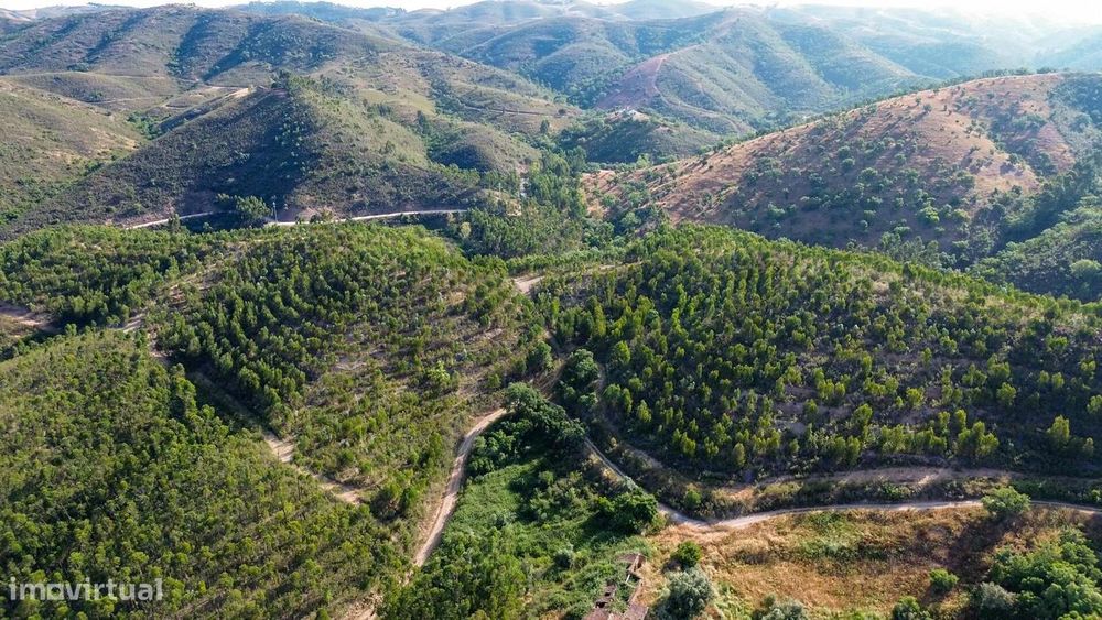 Terreno com 344 375m2 e Ruína sito em Monte do Pé de Carneiro - Santan