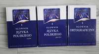 Pwn akademia języka polskiego słowniki językowe 2 tomy+ ortograficzny