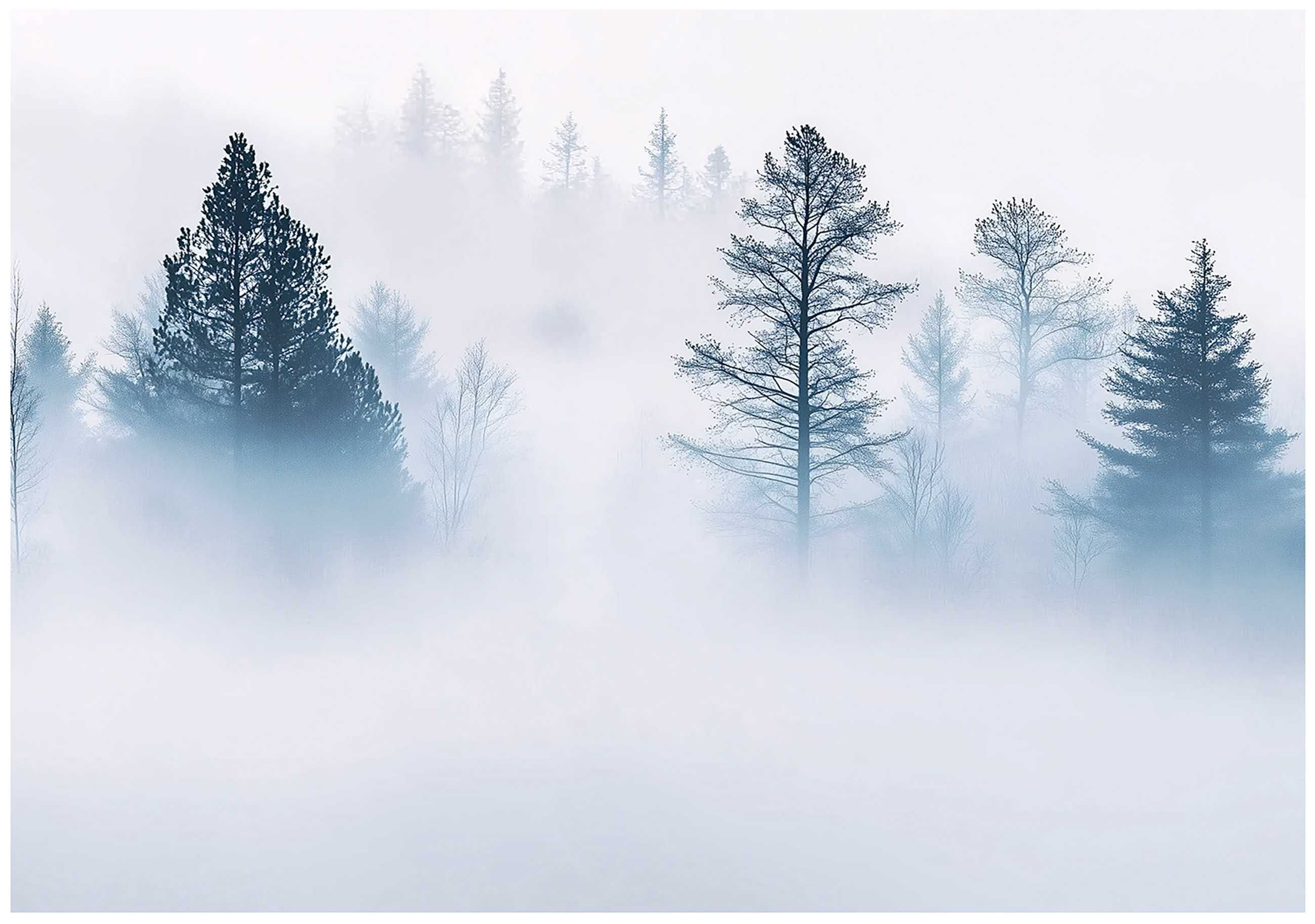 Fototapeta Las We Mgle Zieleń Biel Natura Drzewa Niebieski 3D + KLEJ