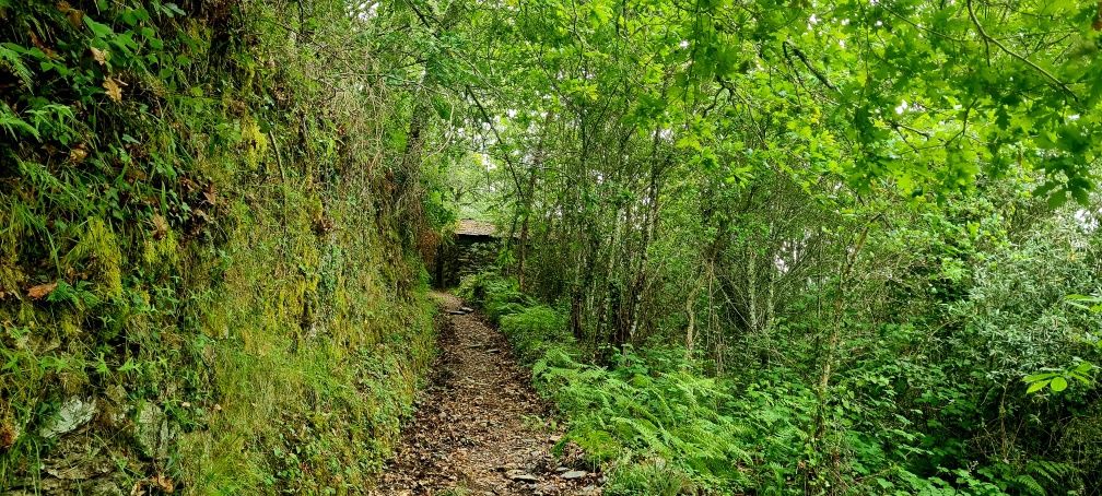 2 casas em pedra, xisto e lousa em ambiente natural