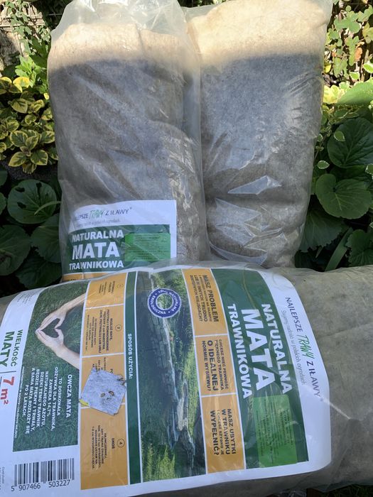 Naturalna mata trawnikowa trawy z Iławy