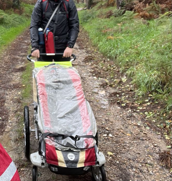 Chariot Tule Cougar 1