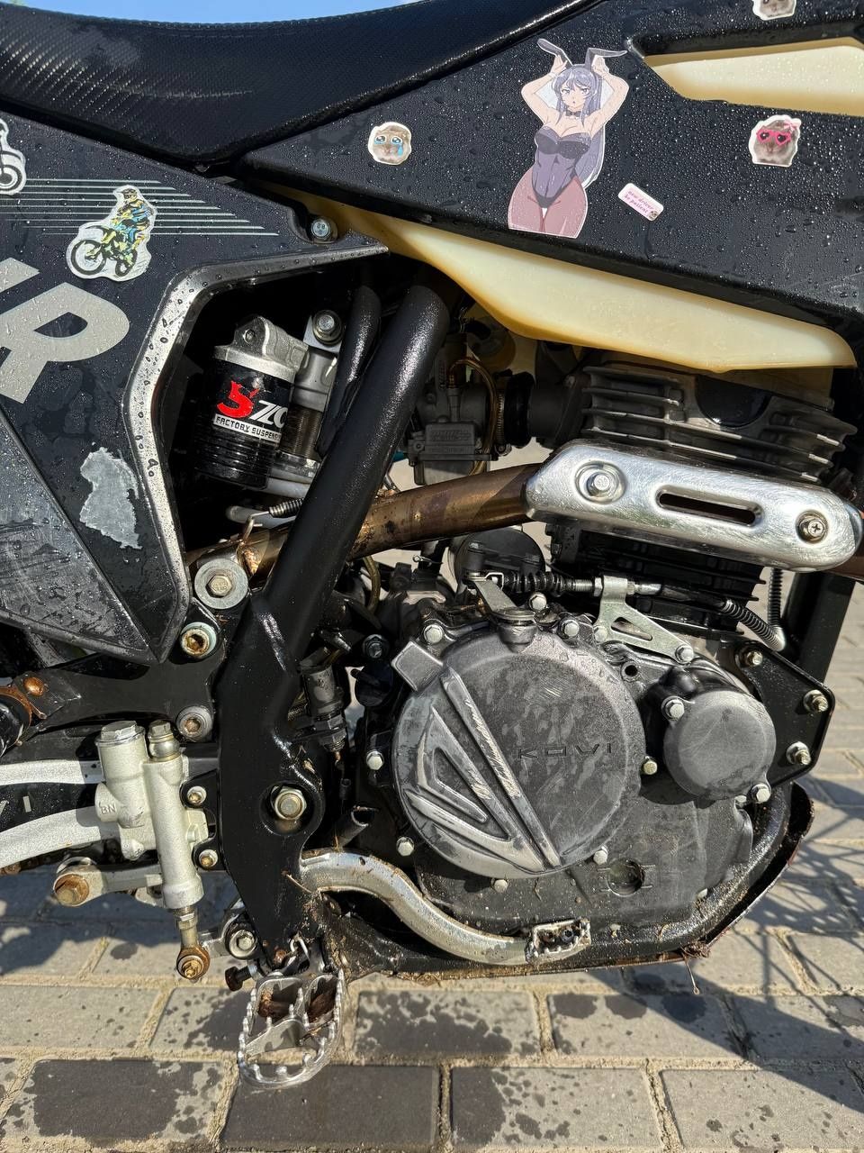 Kovi jnr 250 2023