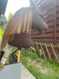 Pasja Hobby Horse