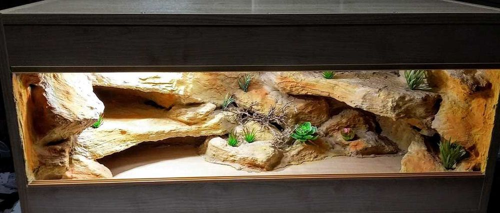 Terrarium na zamówienie dla agamy 100x40x40