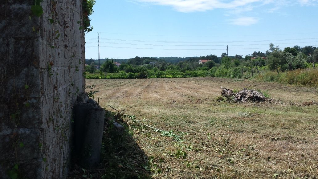 Vende-se terreno agrícola