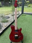 Kopia Music Man EVH