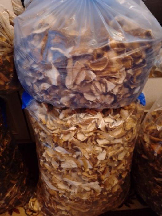 Продам хороший буковий гриб з Закарпаття.