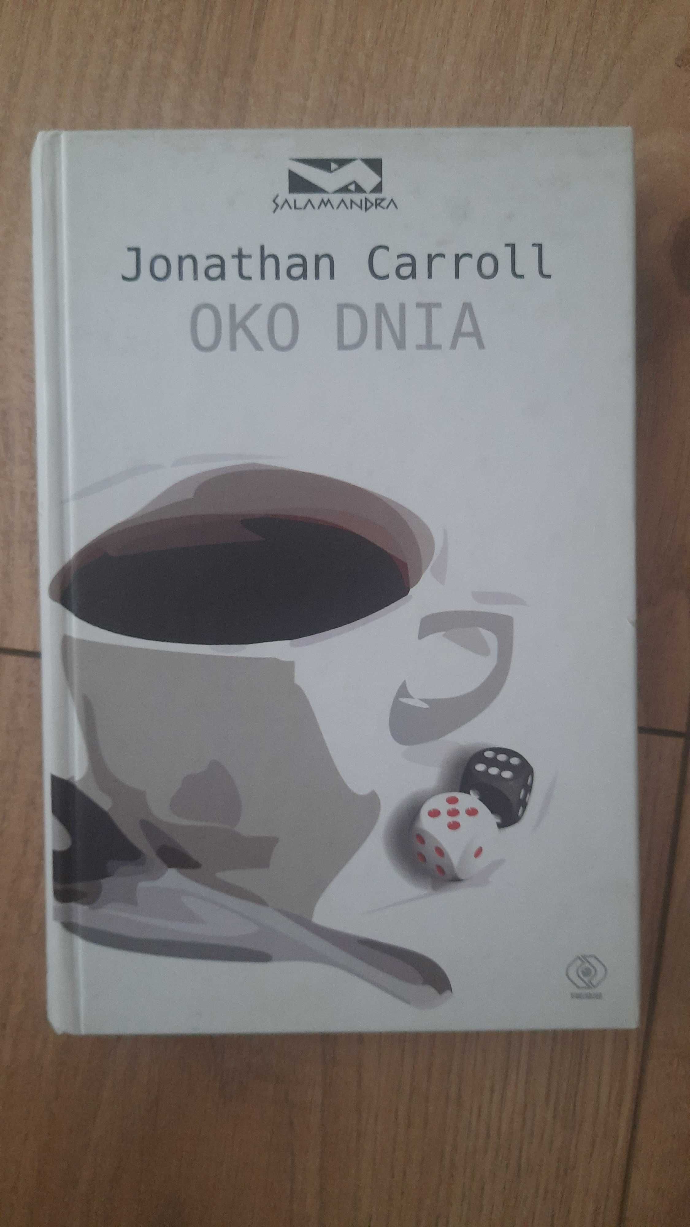 Jonathan Carroll - Oko dnia