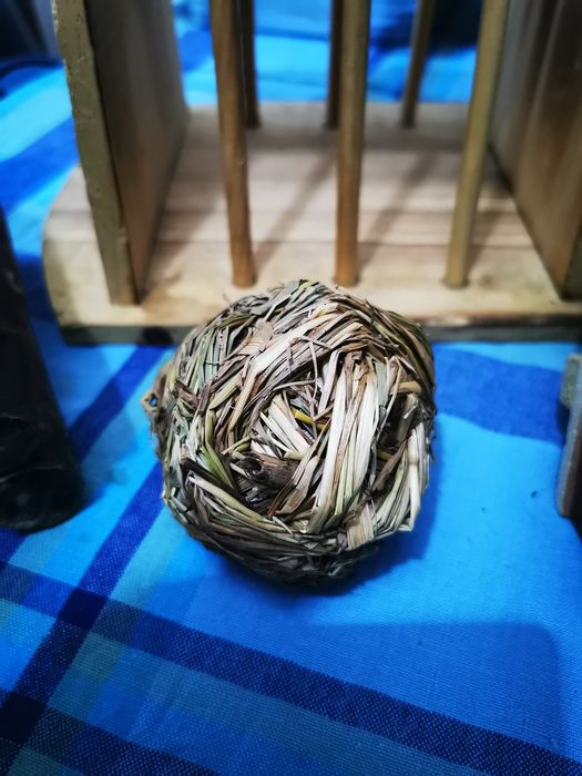 Comedouro para roedores