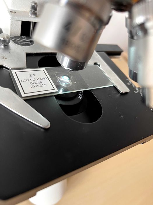 Microscópio Bresser Erudit DLX 40x-1000x | Excelente Estado