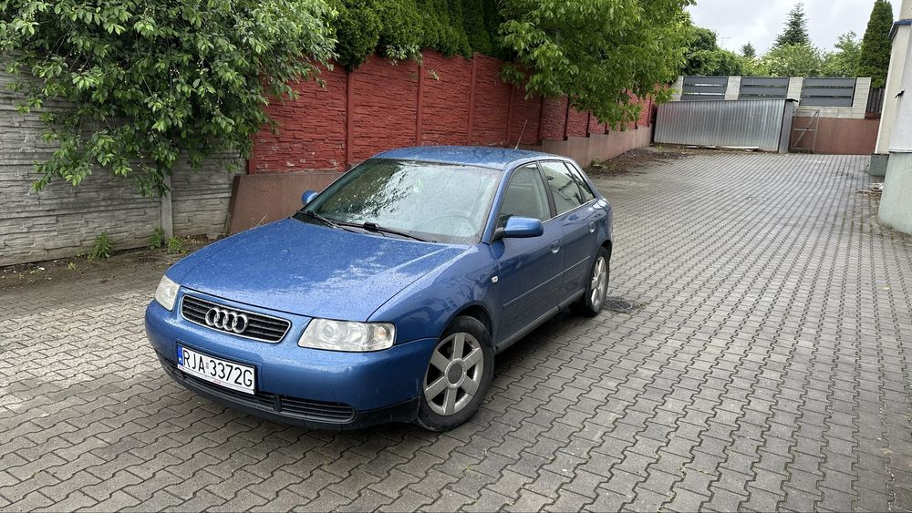 Audi a3 1,6 8v klima nowy rozrzad + koła zimowe idealna pod gaz