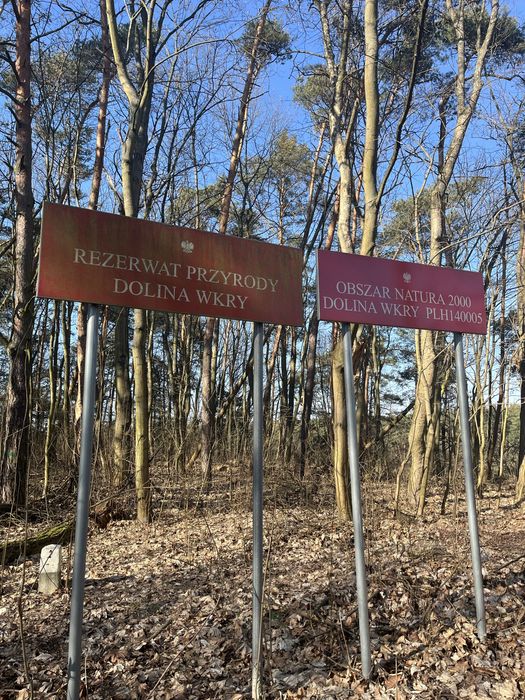 Domek Rzeczny Zakątek nad Wkrą