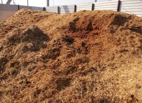 Перегной с доставкой по Днепру и области в мешках и навалом