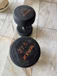 Halter ginásio 27.5kg