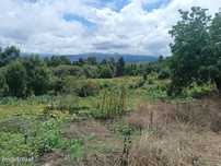 Terreno em Lanheses