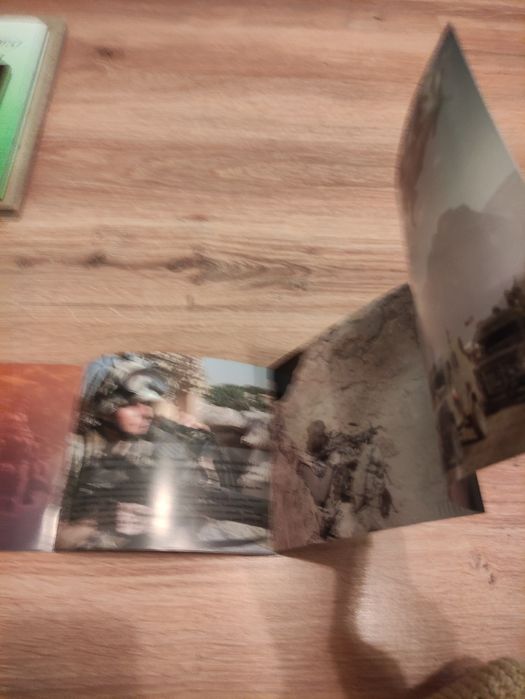 The Polish armed forces