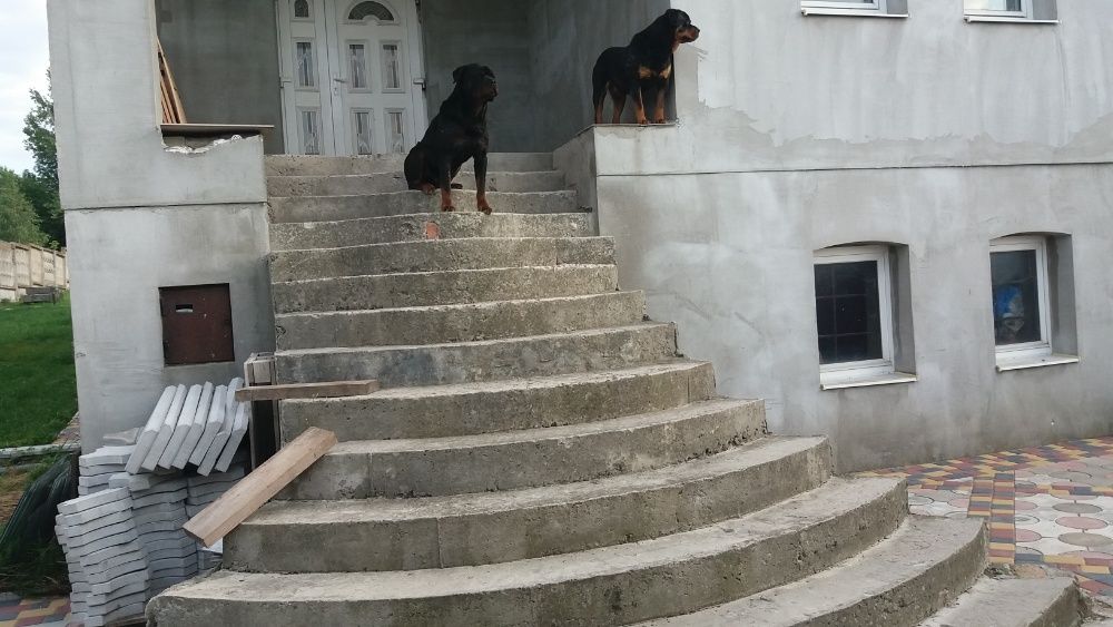 Будинок + тимчасівка (жила) на 15 сот.-по ціні одного. в с. В.Омеляник