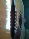 Guitarra Folk 12 cordas de marca Channel by ESM