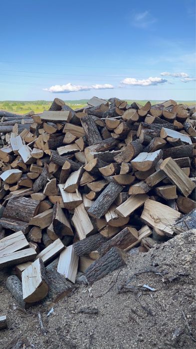 Drewno kominkowe opałowe sezonowane Lębork / dąb buk brzoza klon sosna