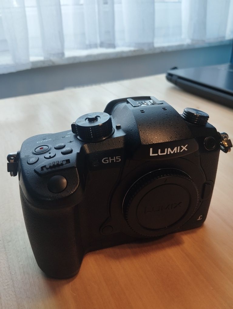 Panasonic Lumix DC-GH5L