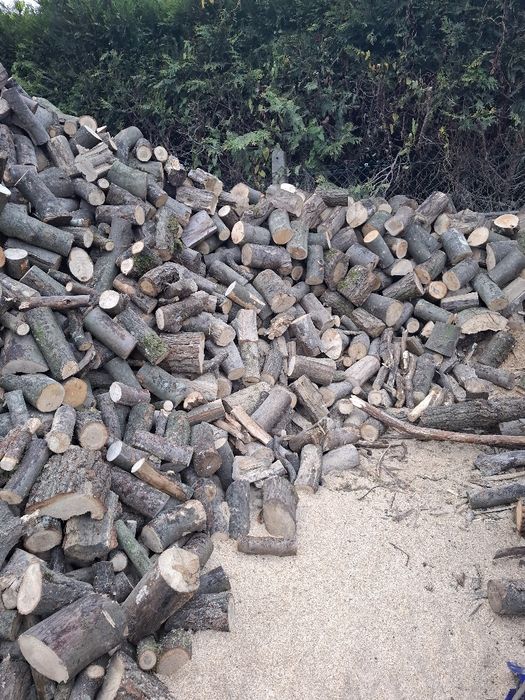 Drewno Suche opał kominkowe gałęziówka transport Gratis