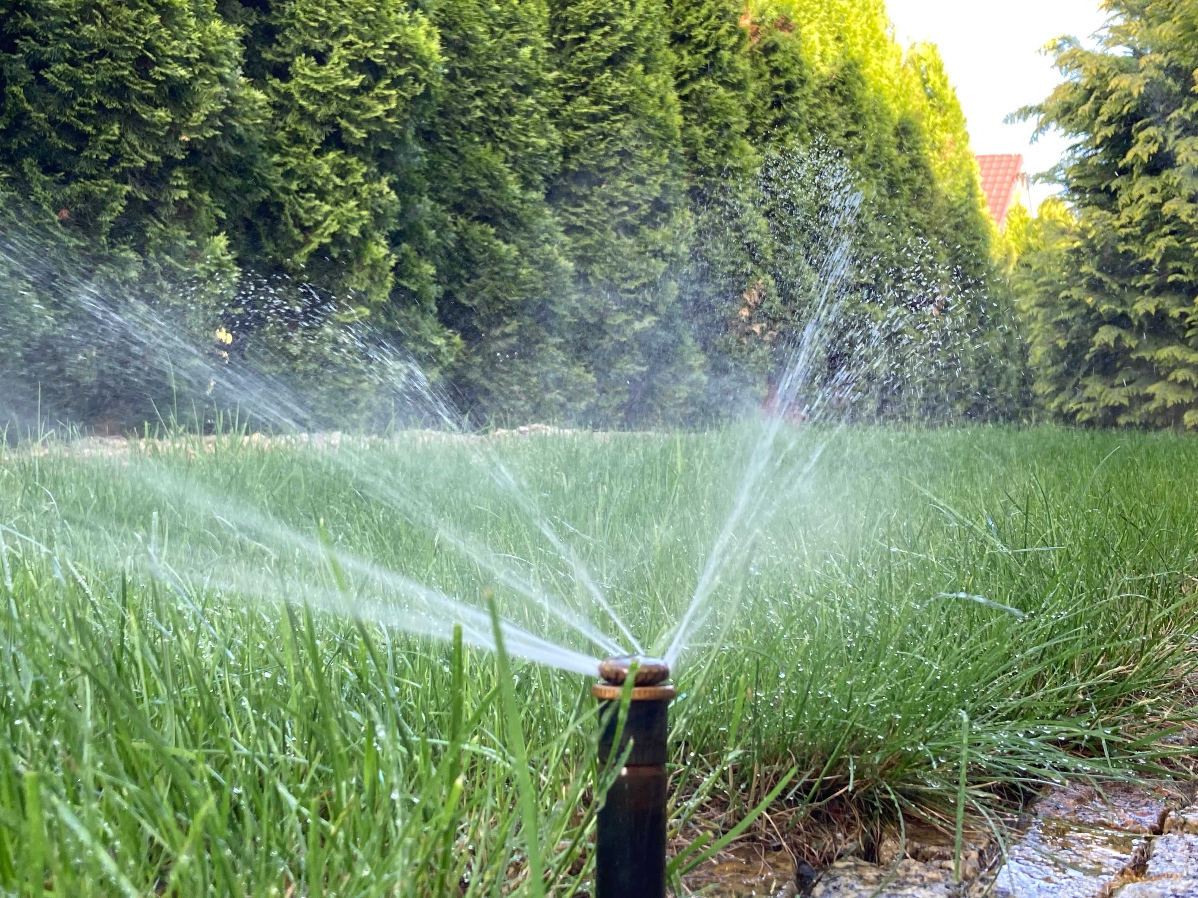 Automatyczne nawadnianie ogrodu Systemy nawadniające