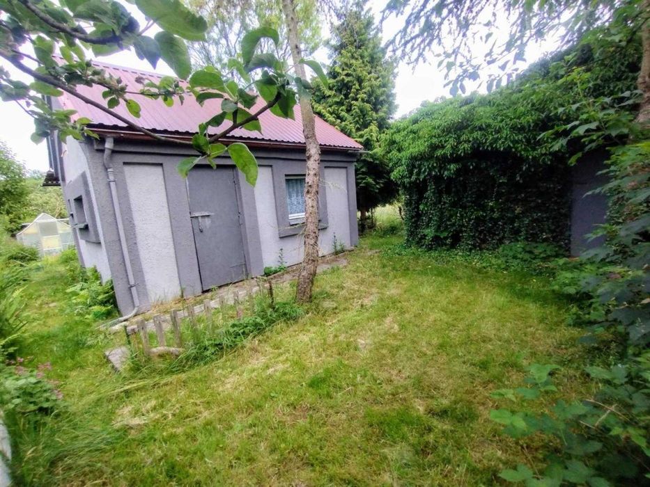 Działka ROD Kwitnących Jabłoni. Jedyna taka 450m2.