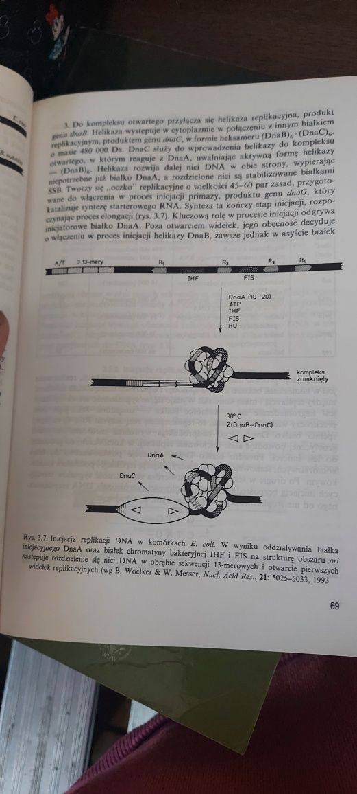 Genetyka molekularna P. Węgleński