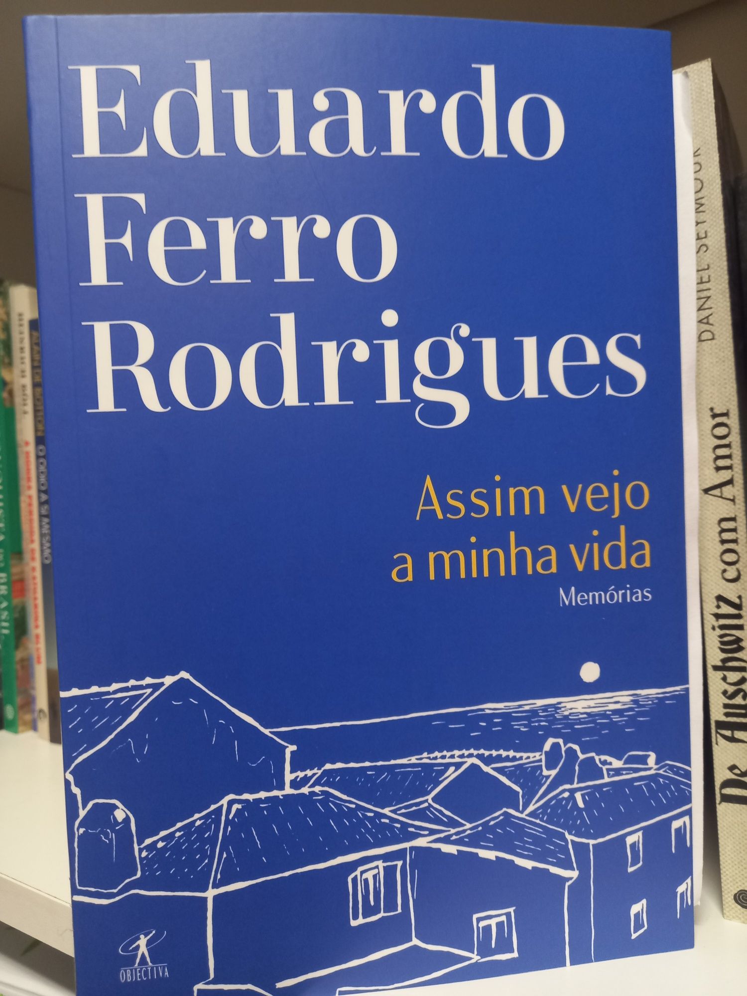 Assim vejo a minha vida